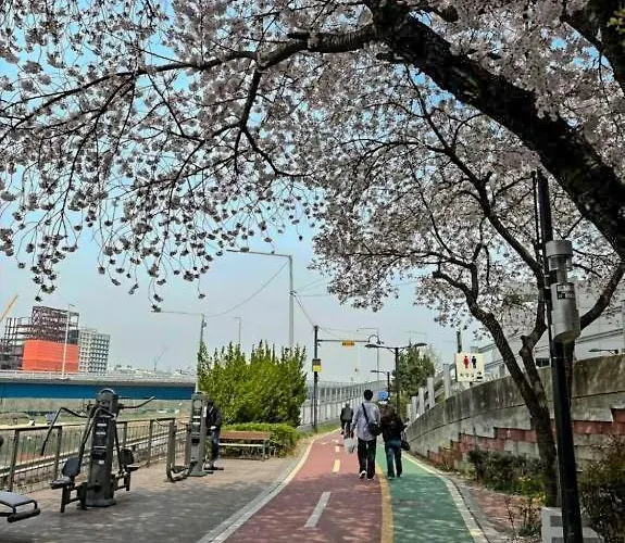 Apartment 301, Atelier Seongsu Riverside Loft Cherry Blossom Road River Airport Bus Seoul